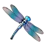 Dragonfly symbol